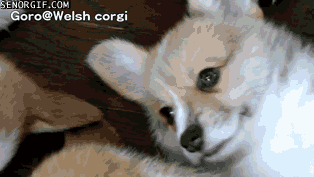 img/5/6/B/C/56BC94733846BB000D