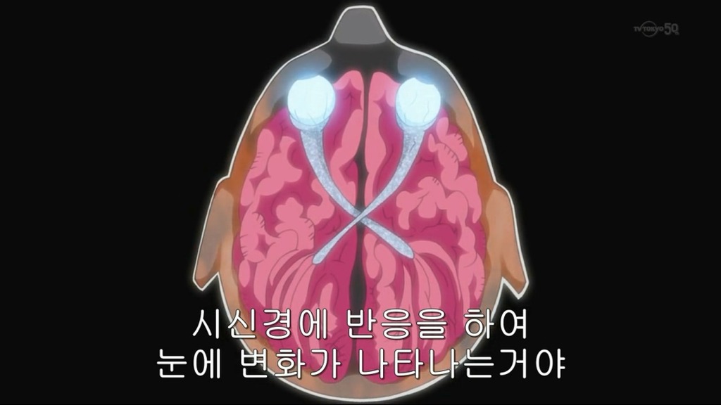 [나루토]노력>>>혈통,눈깔_18.jpg