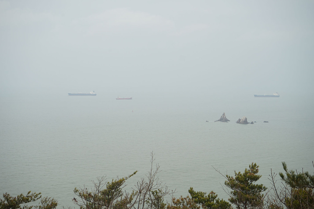 16년3월5일, 서산 황금산, 코끼리바위, 굴금_33.jpg