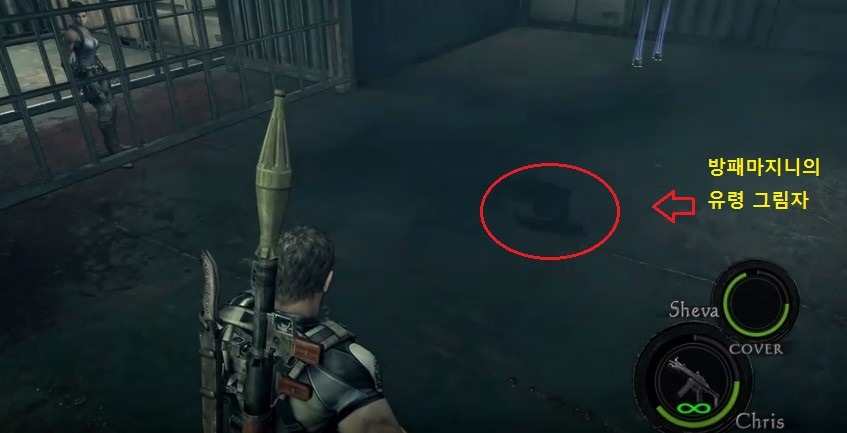 바하5 현재까지 유저패치로 수정된 스팀버전 버그들_1.jpg