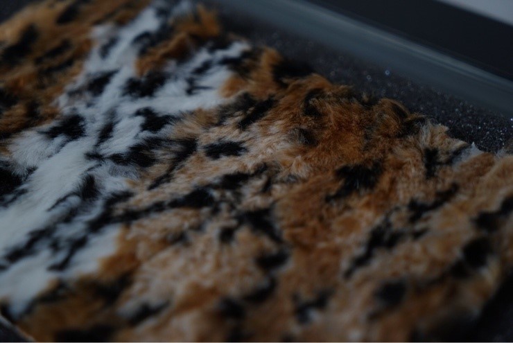 img/5/6/E/1/56E142123B70A6001C