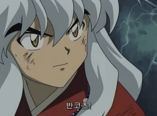[이누야샤] 황금기를 이끈 악역 , '칠인대' 들의 최후_138.jpg