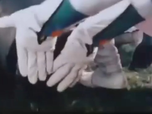 [잭커 전격대] 아프리카 코끼리를 발사해라!_3.jpg