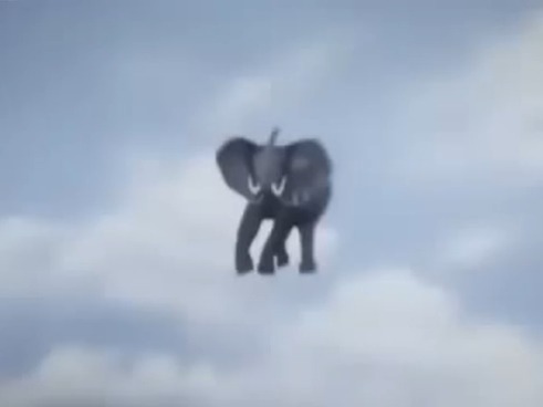 [잭커 전격대] 아프리카 코끼리를 발사해라!_8.jpg