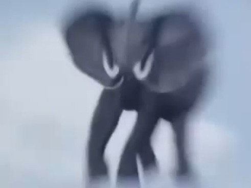 [잭커 전격대] 아프리카 코끼리를 발사해라!_9.jpg