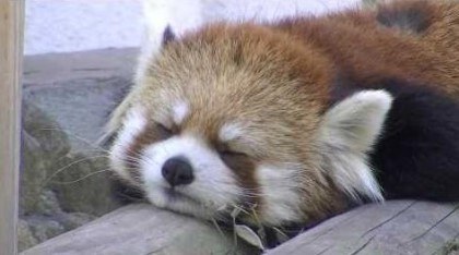 인류를 위협하는 무서운 존재.jpg_8.jpg