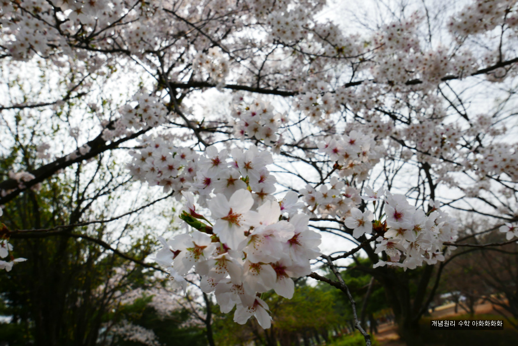 img/5/7/0/B/570BAEFB4E6752002A