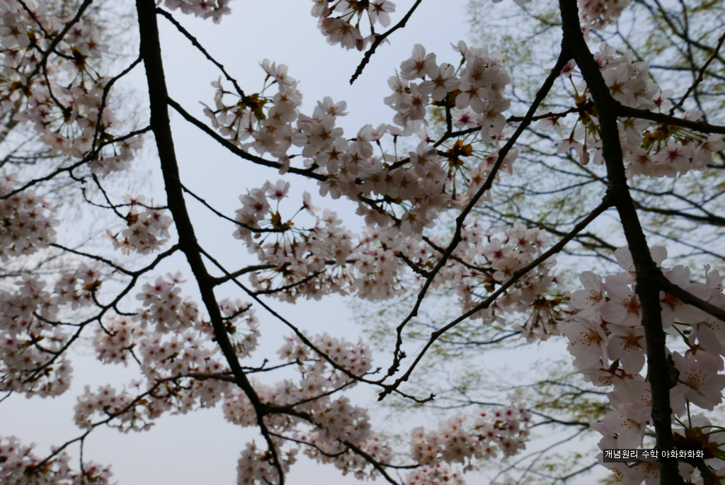 img/5/7/0/B/570BAF004E6539002D