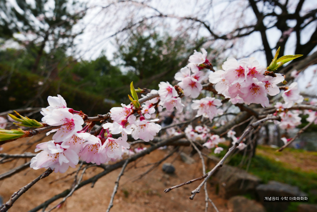 img/5/7/0/B/570BAF054E6FDA001F