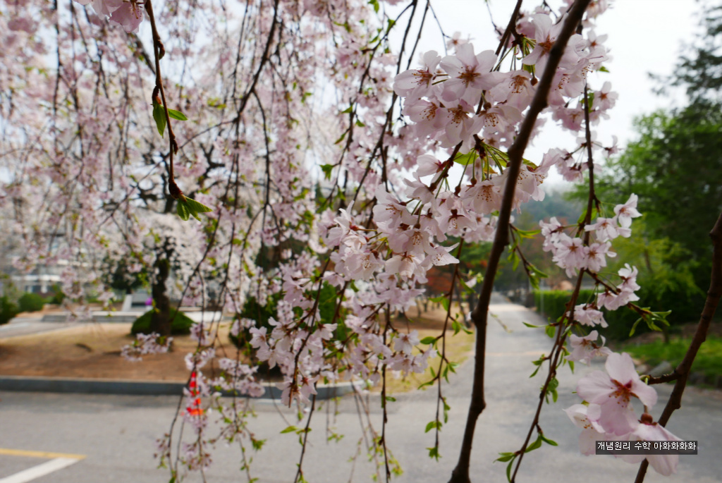 img/5/7/0/B/570BAFA84D2577001C