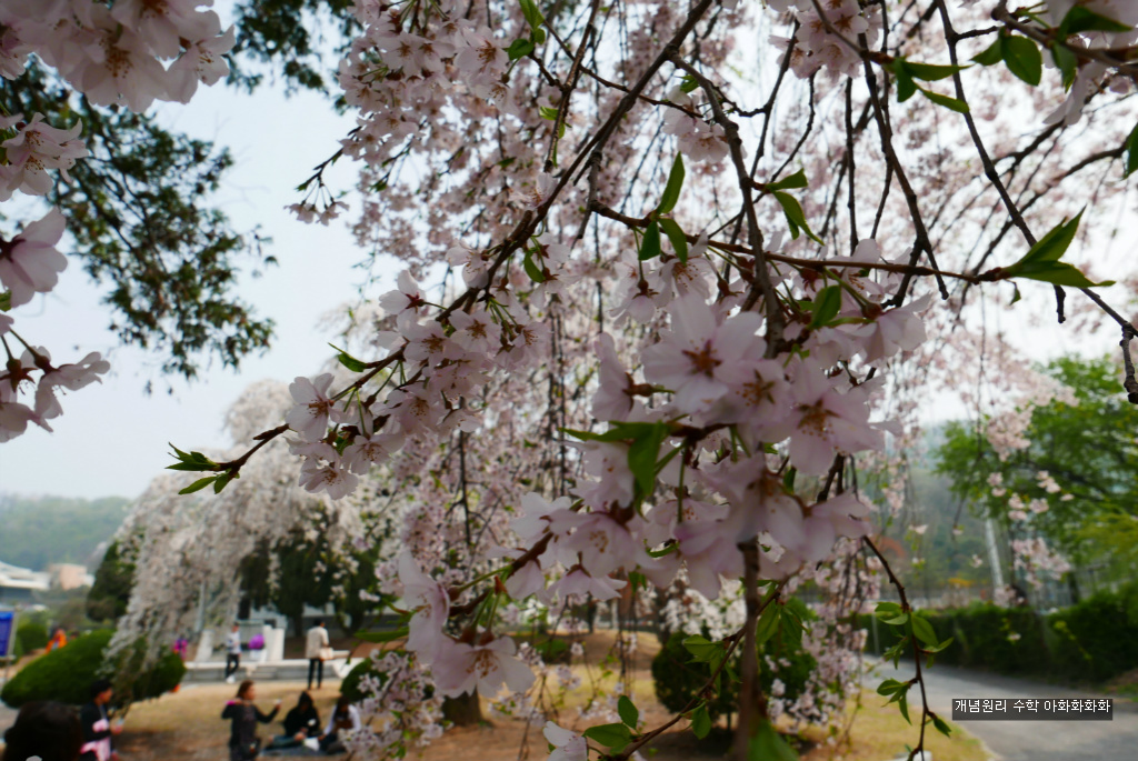 img/5/7/0/B/570BB105497CDB002B