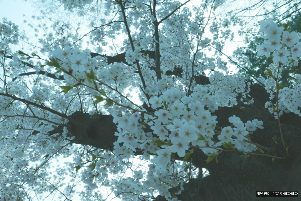 img/5/7/0/B/570BB327492CAF000D