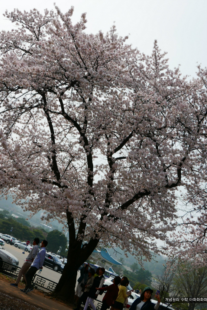 img/5/7/0/B/570BB4524E2843000F