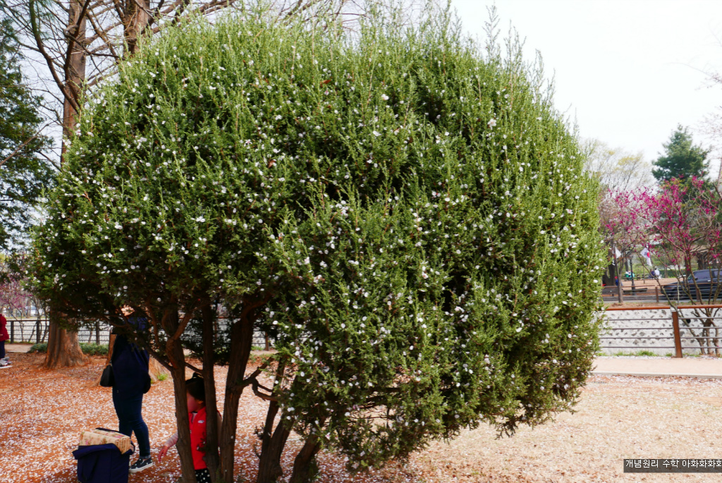 img/5/7/0/B/570BB45A4E7D80003A