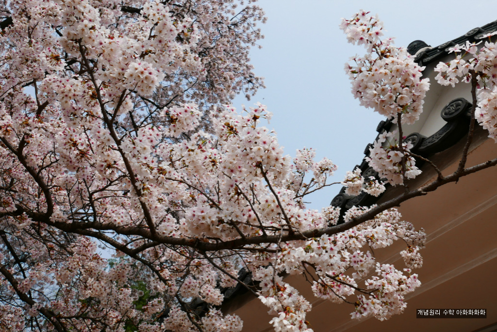 img/5/7/0/B/570BB5F14E158E002C