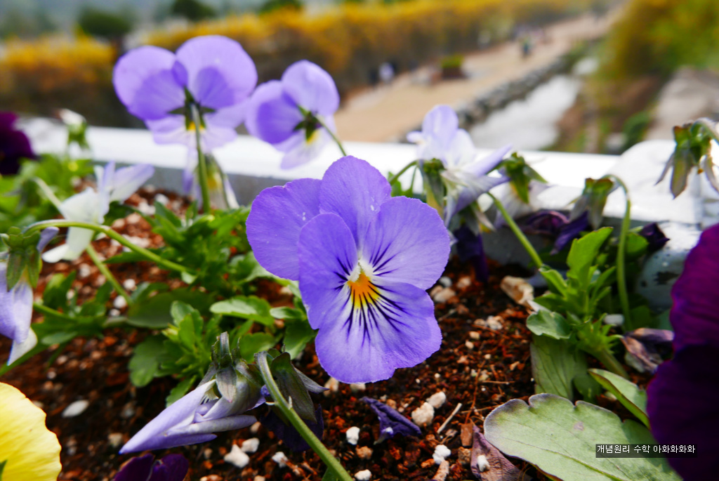 img/5/7/0/B/570BB7703A5122002D