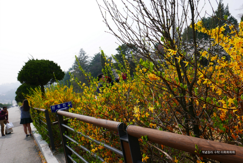 img/5/7/0/B/570BB77B3A52CE002B