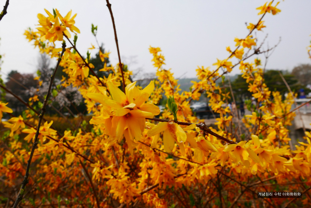 img/5/7/0/B/570BB77D3A452D002C