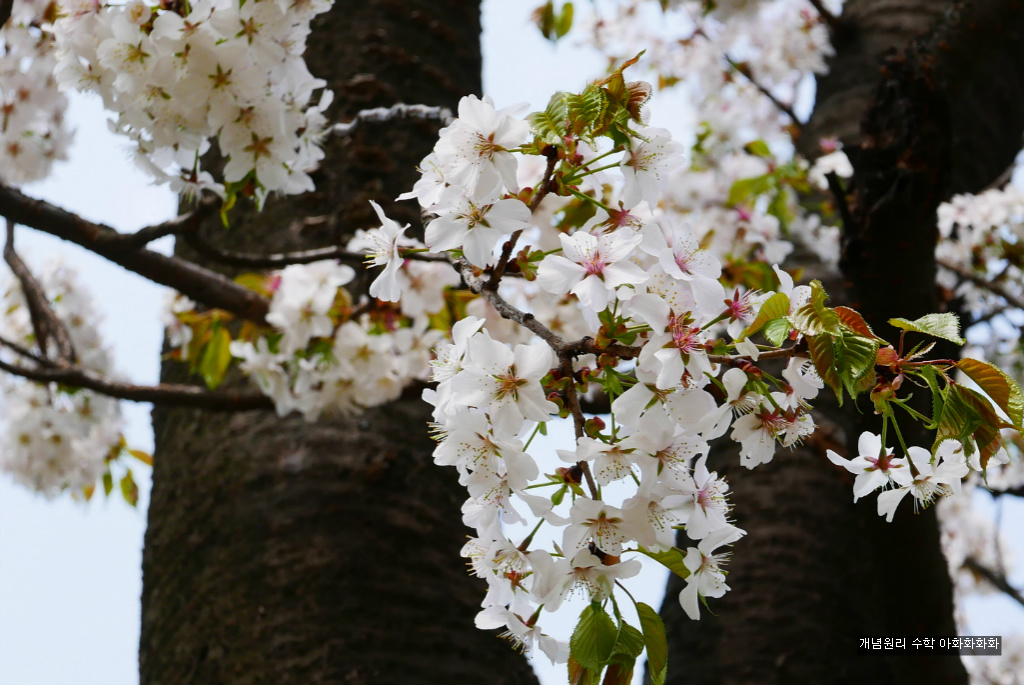 img/5/7/0/B/570BB85E3C4009000C