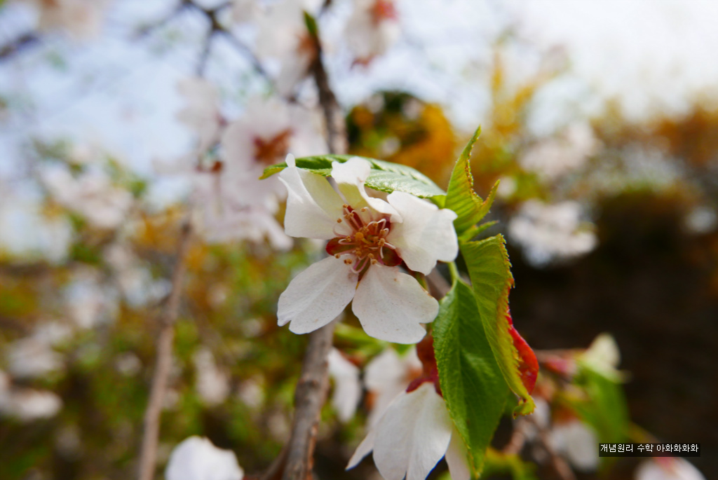 img/5/7/0/B/570BB8F63C2727002B