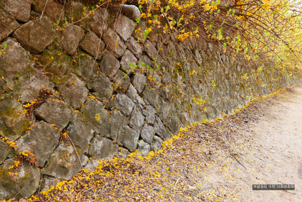 img/5/7/0/B/570BBB39360533001A