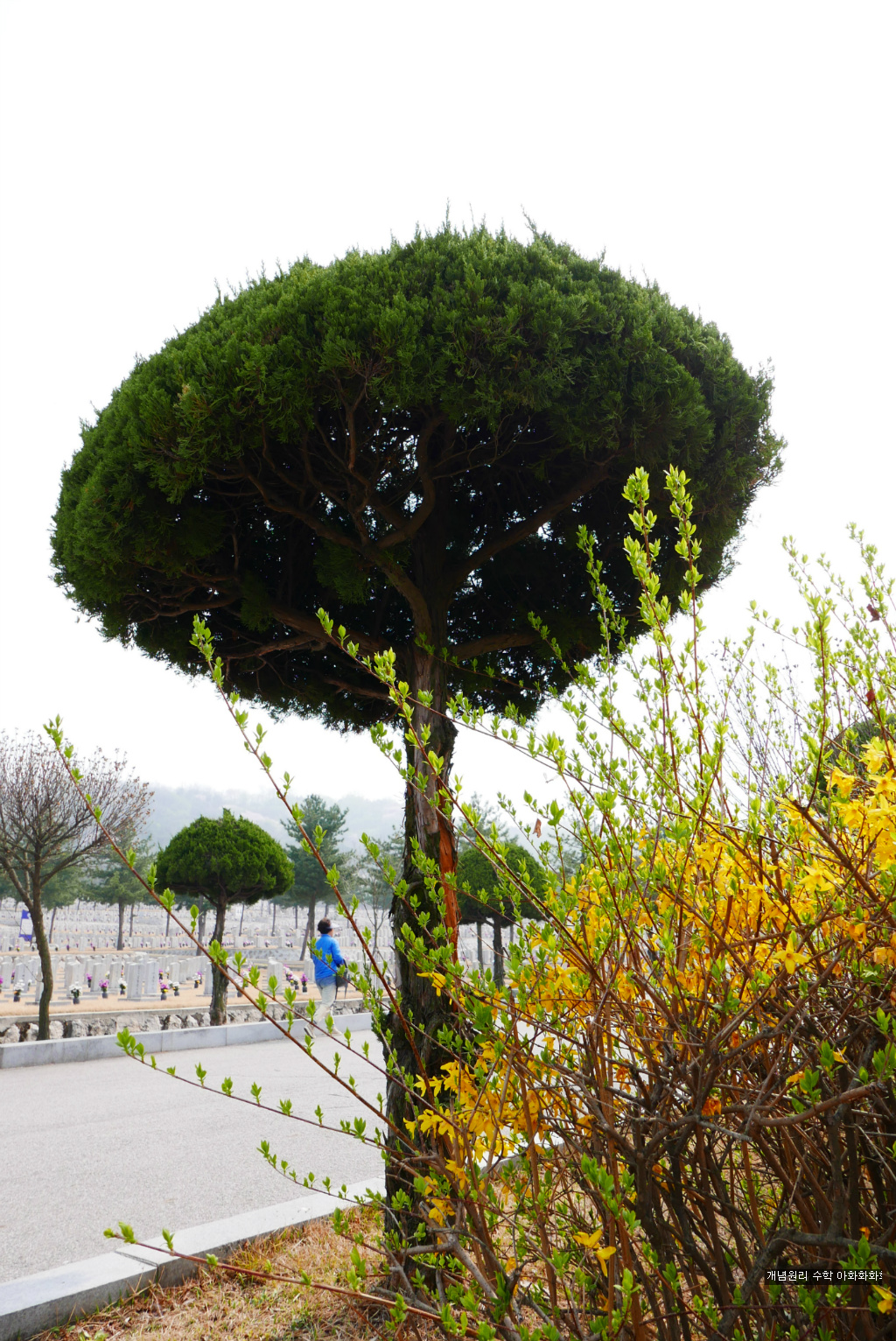 img/5/7/0/B/570BBDCC381C4F002E