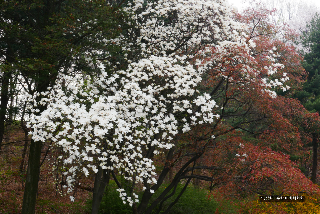 img/5/7/0/B/570BBEBC393CC6002E