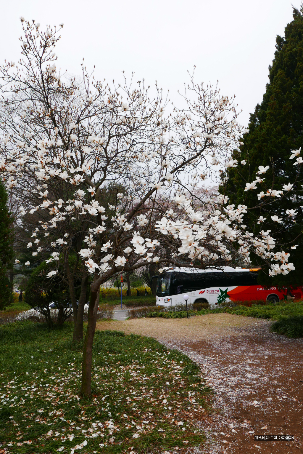 img/5/7/0/B/570BC1C83B640A002D