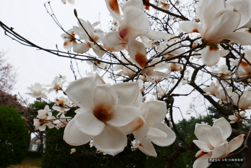 img/5/7/0/B/570BC1CB3B76EE001E