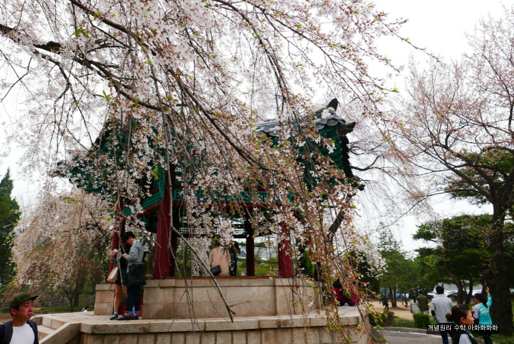 img/5/7/0/B/570BC1CD3B0B4D000E