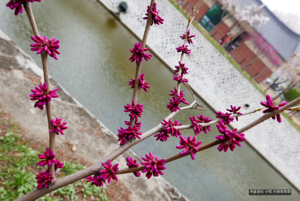 img/5/7/0/B/570BC1D33B0B9B000E