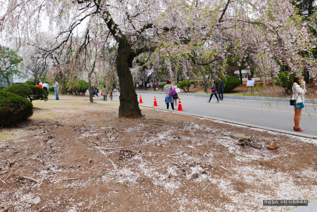 img/5/7/0/B/570BC1D53B6133002F