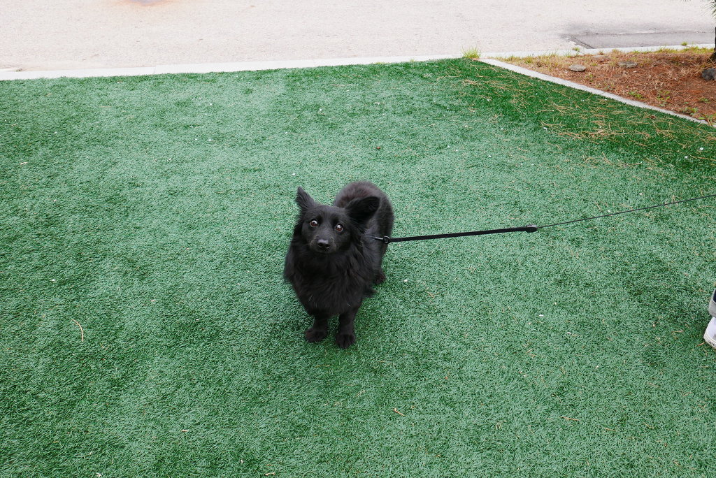 img/5/7/0/B/570BC3834A1936001C