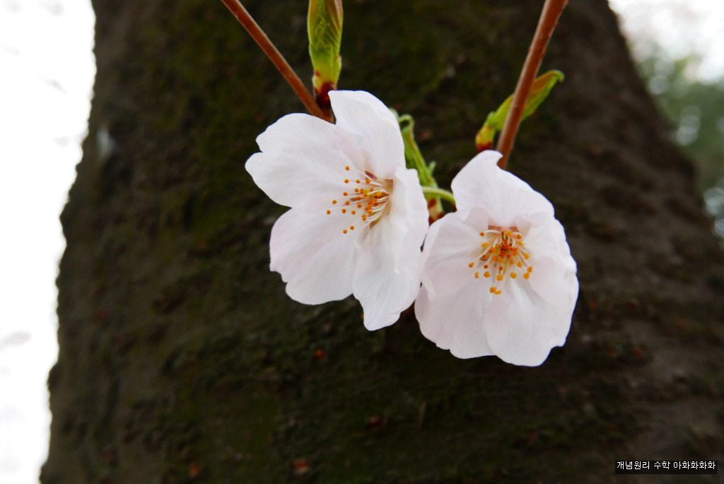 img/5/7/0/B/570BDA1148221E002D