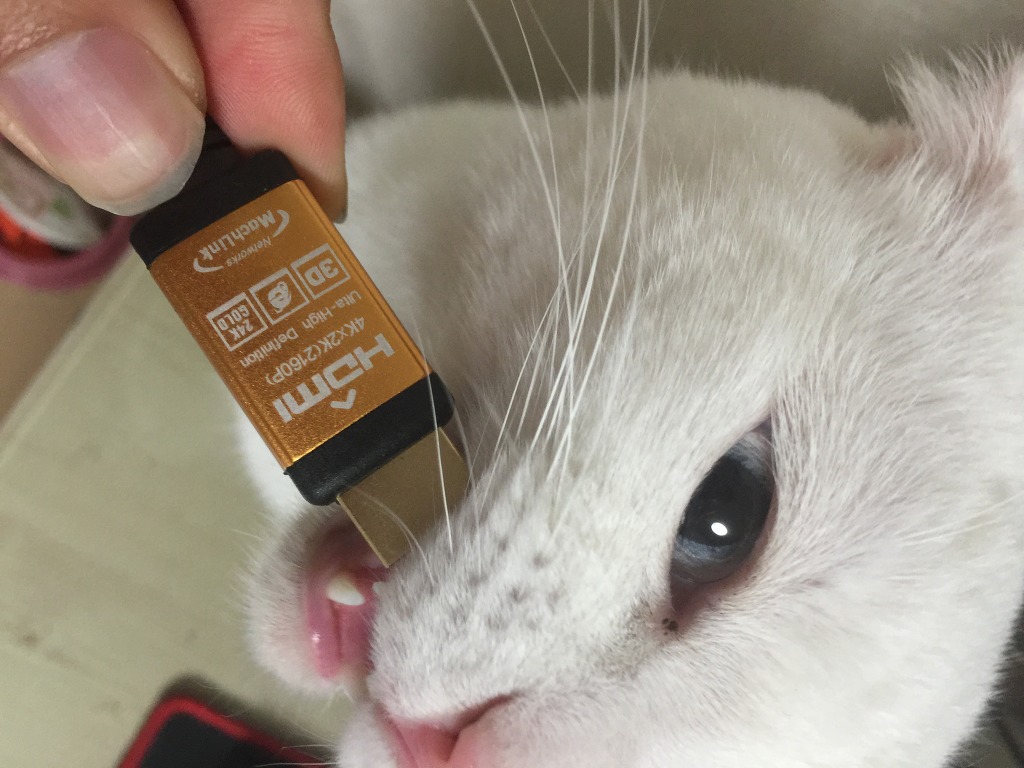 클라인즈 TV 후기입니다._7.jpg