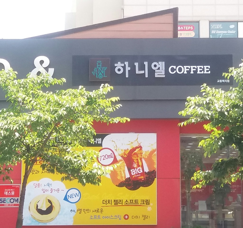 나츠미쨔마 의문의 강릉행.jpg_1.jpg