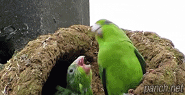 광기는 전염된다.gif_1.gif