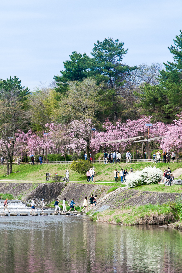 그래, 교토에 가자_6.jpg