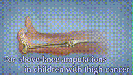 b803d85b4ddd1d85dbf3074f5ecbb947-1.gif
