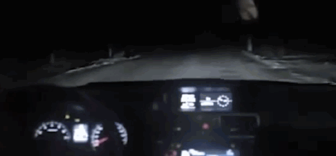 잔혹한 로드킬 현장..._1.gif