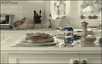 완전 범죄를 노리는 개_1.gif