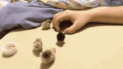 따뜻한 엄마품_1.gif