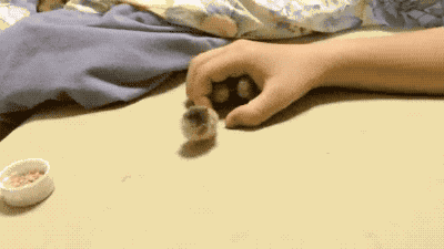 따뜻한 엄마품_2.gif