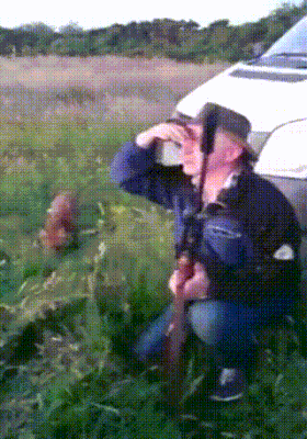 정찰중 아무 이상 없다.gif_1.gif