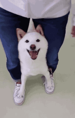 피자 땡긴다..피자...피피피피자자자자자_1.gif