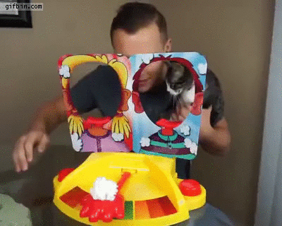 집사야 이게 뭐하는 짓이냥.gif_1.gif