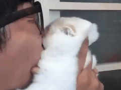 고양이의 빡침이 느껴짐.gif_1.gif