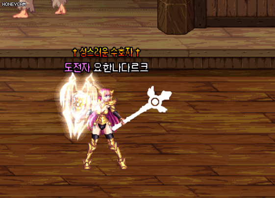 팔라딘 스킬 뜻풀이 / 영알못 네오플이 또..(데이터 주의)_7.gif