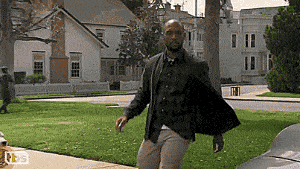 댕댕이 빅픽처_1.gif