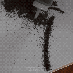 예술가가 심심하면 하는 짓_1.gif